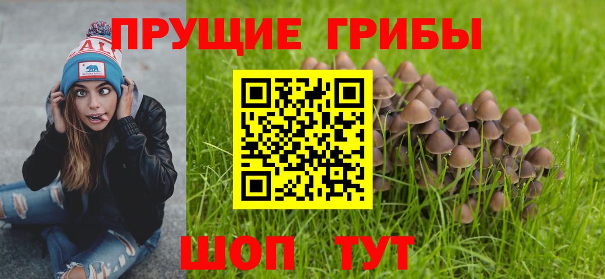 Псилоцибиновые грибы мухоморы  Вход с VPN  Иваново 